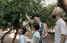 Cretan Cooking Class in Kritsa by Private Cook