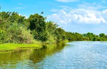 Negombo to Muthurajawela Wetlands Eco Birdwatching Boat Tour
