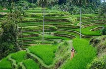 Experience the Soul of Bali : Private All-Inclusive Ubud Tour