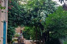 Private Luxury Fez Medina Tour with Panoramic Views