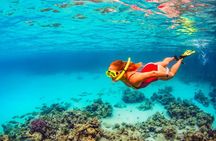 Private Snorkeling Tour and Beach Day