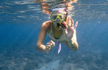 Private Snorkeling Tour and Beach Day