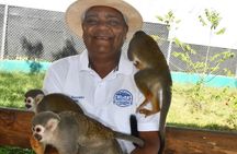 Monkeys, Chocolat and Café Organic Plantation in Puerto Plata