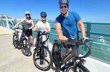 Ultimate Tampa E-Bike Sightseeing Tour