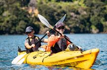 Full-Day Guided Sea Kayak Trip from Picton