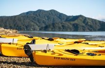 Full-Day Guided Sea Kayak Trip from Picton