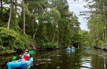Roanoke Island Kayak Tour
