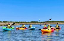 Roanoke Island Kayak Tour