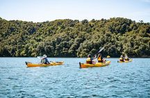 Half-Day Guided Sea Kayak Trip from Picton