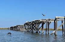 Pea Island Wildlife Refuge Kayak Tour