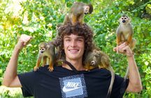 Monkey Experience Punta Cana, Interact with 4 species of Monkeys