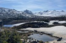 Yukon Suspension Bridge Tour from Skagway