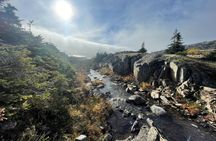 Yukon Suspension Bridge Tour from Skagway