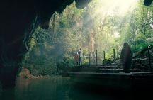 Waitomo Glowworm Caves Guided Tour