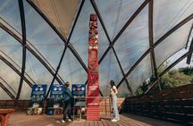 Waitomo Glowworm Caves Guided Tour