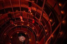 90-Minute Guided Ruakuri Cave Tour Waitomo