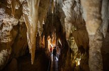 90-Minute Guided Ruakuri Cave Tour Waitomo