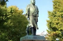 Kagoshima: Private Custom Tour with Local Guide