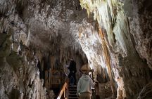1-Hour Guided Tour of Aranui Cave Waitomo