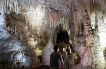 1-Hour Guided Tour of Aranui Cave Waitomo
