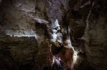 1-Hour Guided Tour of Aranui Cave Waitomo