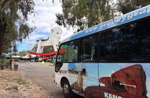 Barossa Wine tour with Lunch, Wine Tastings, Brewery & Chocolate
