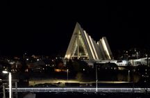 Northern Lights Cruise from Tromsø Witness the Aurora Borealis