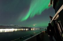 Northern Lights Cruise from Tromsø Witness the Aurora Borealis