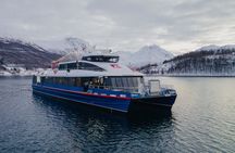 Fjord Cruise from Tromsø Explore Arctic Landscapes and Wildlife