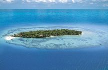 Stone Town Prison Island and Spice Farm with Lunch Zanzibar Tour