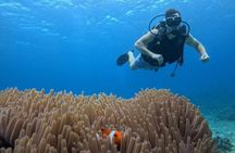 Boracay Diving w/ Pictures & Video or Fun Dive