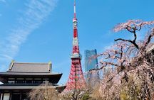 Tokyo Private Half-Day Highlights Tour by Car with Guide