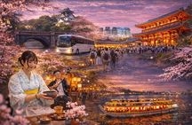 Tokyo Half Day Cruise Shibuya Imperial Palace Tea Ceremony