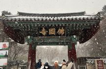 Gyeongju: Ancient Capital Secrets & Hidden Gems Private Tour