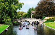 Private Cambridge Punting by University Students