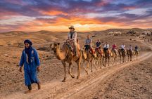 Marrakech: All-In-ONE Agafay CAMEL , DINNER, SHOW & TRANSPORT.