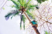 Zanzibar Spice Farm & Stone Town guided Tour (Lunch included)