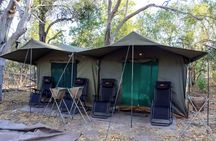 4 Days 3 Nights Camping Safari at Savute