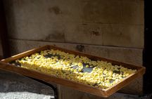 Bari Like a Local between History, Culture and Apulian Street Food