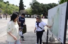 Ephesus and Virgin Mary House Private Tour