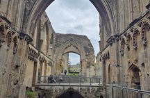 Glastonbury Sacred Sites and Dragons Private Day Tour