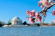 Washington DC Golf Cart Tour – Monuments (2 Hours)