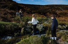 Private Day Tour in Wicklow Mountains and Vacation Photography