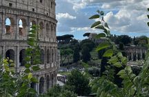 Dream Tour Guided tour of the Colosseum (semi-private)