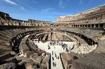 Dream Tour Guided tour of the Colosseum (semi-private)
