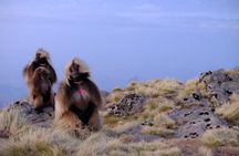 Scenic Debre Libanos and Portuguese Bridge Tour