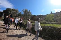 Lefkada Hiking Tour: Karya Village, Rekatsinata & Meze with Wine