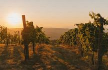 Nemea Wine Tasting Corinth Canal and Ancient Corinth Private Tour