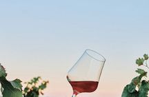 Nemea Wine Tasting Corinth Canal and Ancient Corinth Private Tour