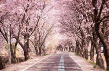 Noboribetsu, Lake Toya and Niseko Day Tour from Sapporo